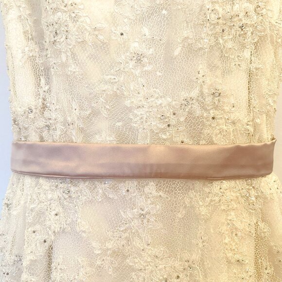 Ivory Lace Keyhole-back Wedding Dress w/ Optional Blush Sash (Demetrios Sz 16) - Picture 9 of 14